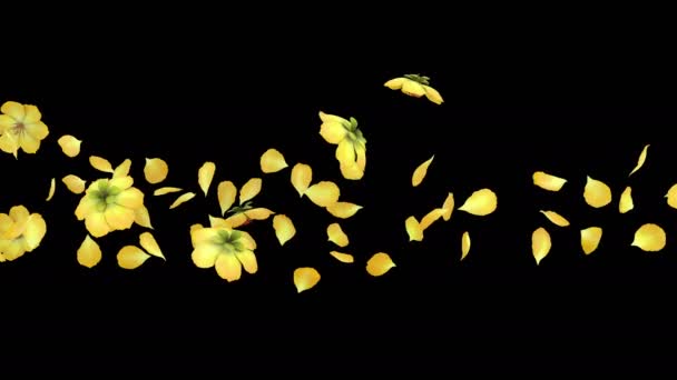 Animazione Flusso Petali Fiore Con Strato Alfa — Video Stock