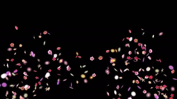 Animation Flux Pétales Fleurs Avec Couche Alpha — Video