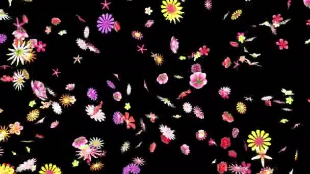 Alfa Tabakası Ile Bir Çiçek Yaprakları Akış Animasyon — Stok video