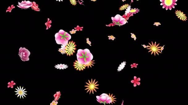 Animation Flower Petals Flow Alpha Layer — Stock Video