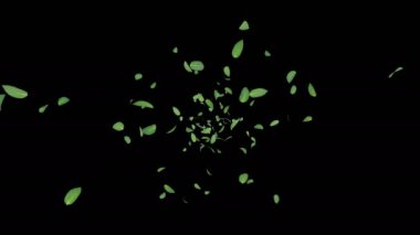 bir nane 3D animasyon Alfa tabakası ile akış yaprakları