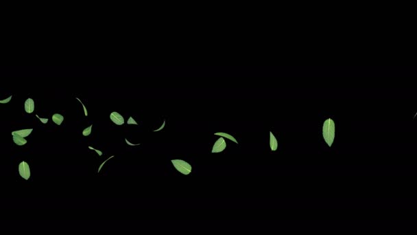 Bir Nane Animasyon Alfa Tabakası Ile Akış Yaprakları — Stok video