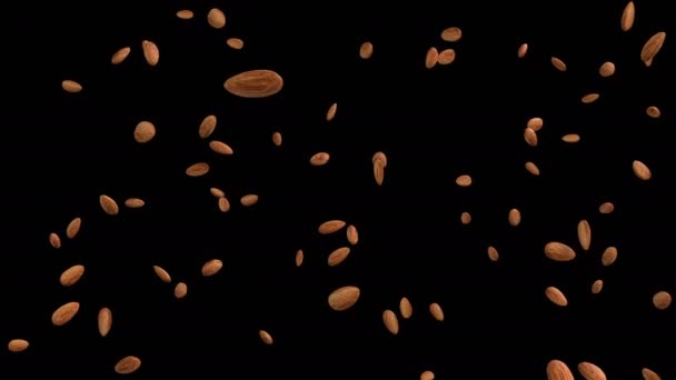 Animation Flux Amandes Avec Couche Alpha — Video