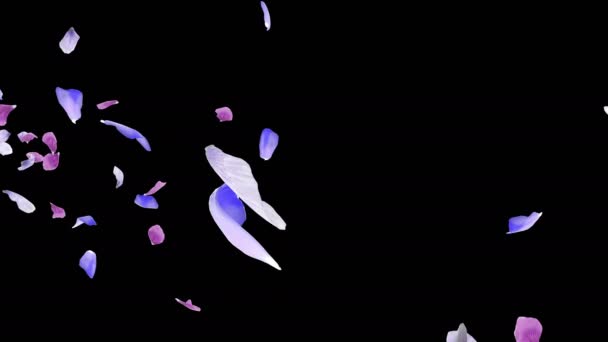 Animatie Van Een Bloemblaadjes Flow Met Alpha Laag — Stockvideo