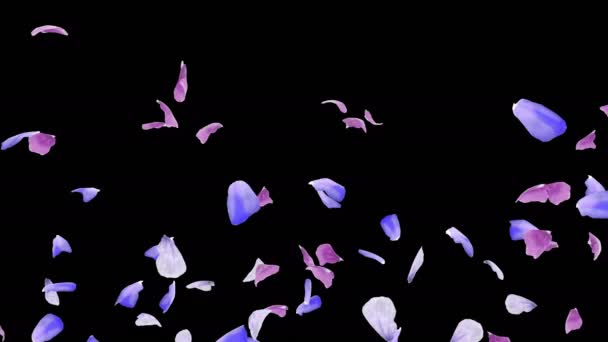 花瓣流动的3D动画与阿尔法层 — 图库视频影像