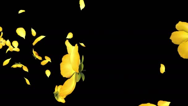 Κινούμενα Σχέδια Ενός Κίτρινου Πέταλα Λουλουδιών Ρέει Επίπεδο Άλφα — Αρχείο Βίντεο