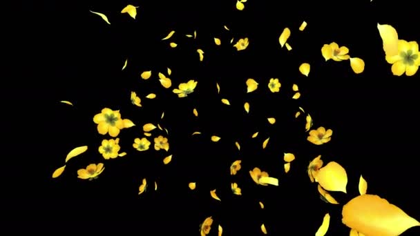Animáció Egy Sárga Virág Szirmok Áramlás Alfa Réteg — Stock videók