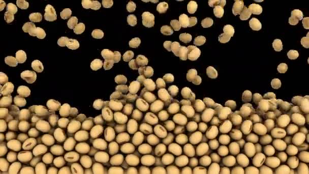 Animation Soybean Flow Alpha Layer — Stock Video