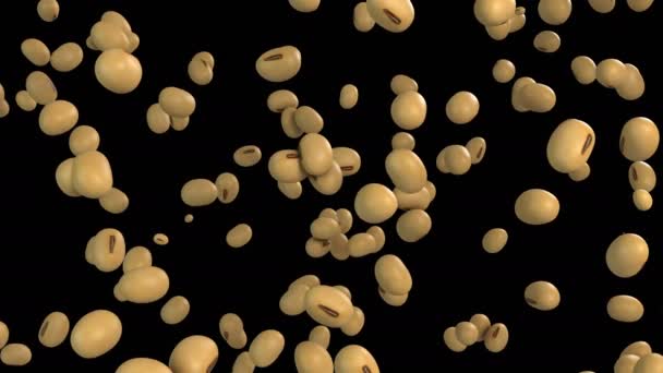 Animation Soybean Flow Alpha Layer — Stock Video