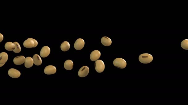 Animation Soybean Flow Alpha Layer — Stock Video