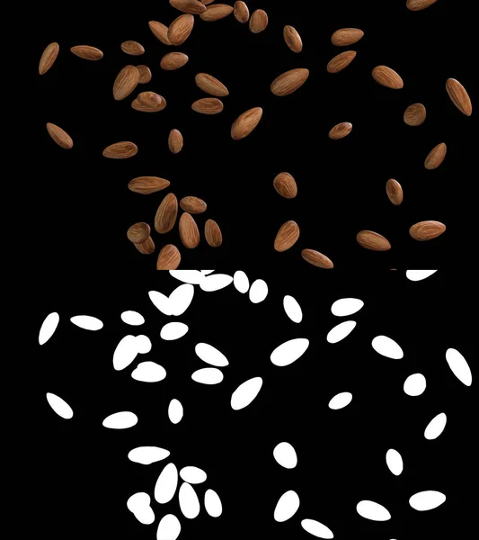 Illustration Almond Flow Alpha Layer — Stock Photo, Image