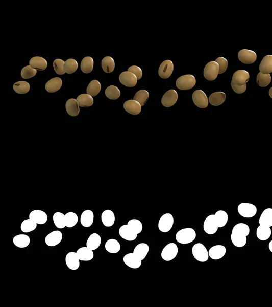 Illustration Soybean Flow Alpha Layer — Stock Photo, Image