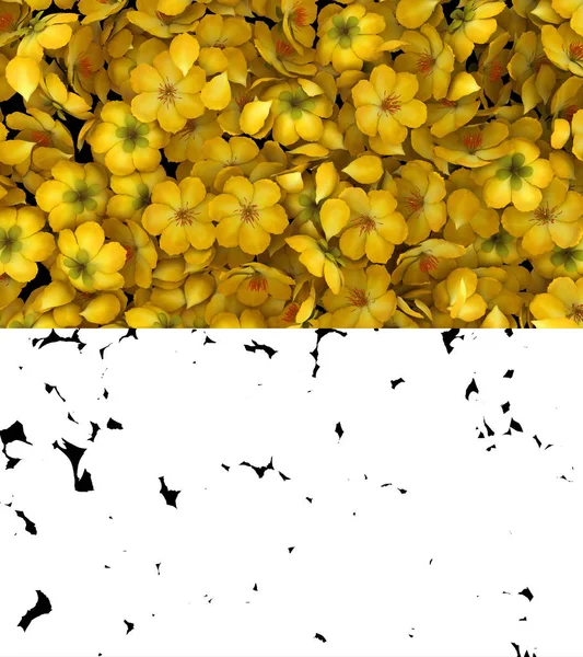 Illusztráció Egy Sárga Virág Szirmok Áramlás Alfa Réteg — Stock Fotó