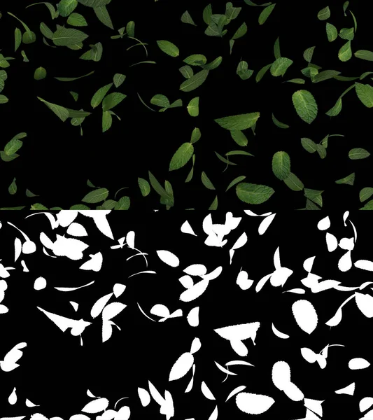 Иллюстрация Потока Листьев Мяты Альфа Слоем — стоковое фото