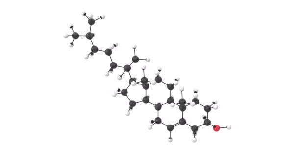 Animação Uma Molécula Colesterol Com Camada Alfa — Vídeo de Stock