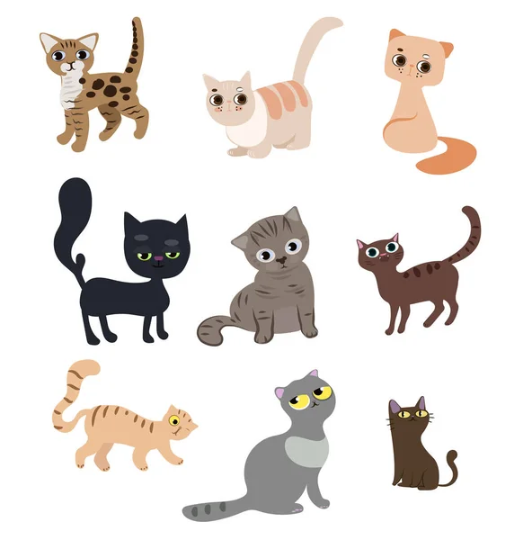 Ensemble de chats drôles mignons — Image vectorielle