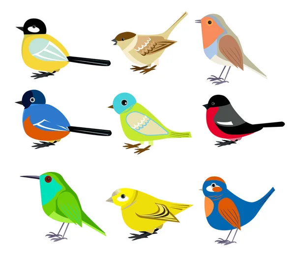 Набір птахів — стоковий вектор