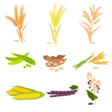 Sağlıklı lezzetli organik gıda tarım çiftlik