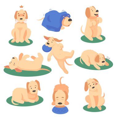 Sevimli köpek çeşitli aletlerle oynayıp vektör çizim