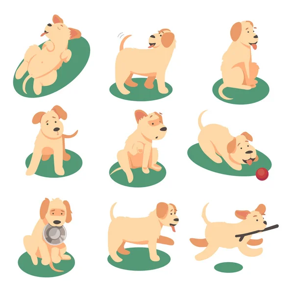 Illustration vectorielle de chien mignon jouant avec divers objets — Image vectorielle