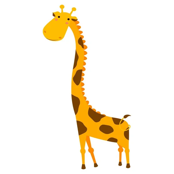 Aranyos zsiráf rajzfilm elszigetelt fehér háttér — Stock Vector