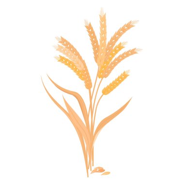 Olgun altın buğday taneleri olan ekmek üretmek.