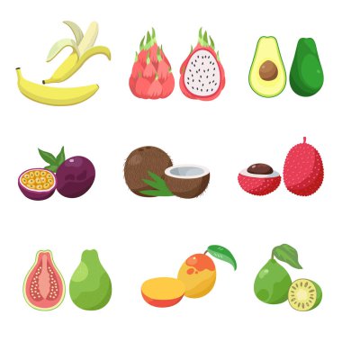 Tropikal egzotik meyve ayarlayın. Çeşitli egzotik meyveler, hindistancevizi, Mango, muz, avokado, kivi, lychee.