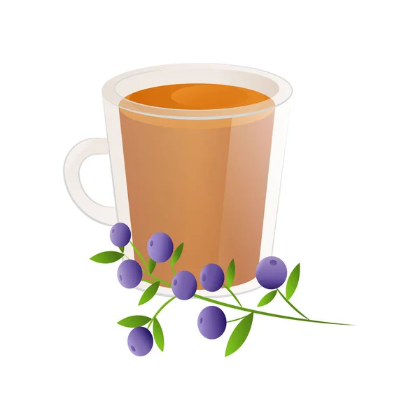 Délicieux thé naturel aux myrtilles dans une belle tasse transparente . — Image vectorielle
