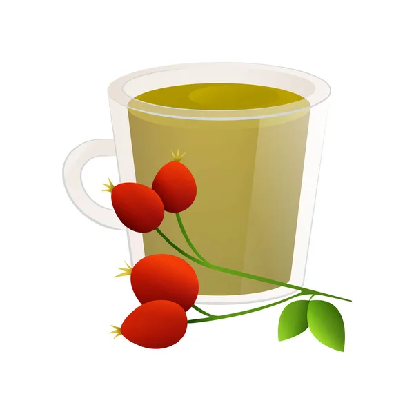 Délicieux thé naturel à l'aubépine dans une belle tasse transparente . — Image vectorielle