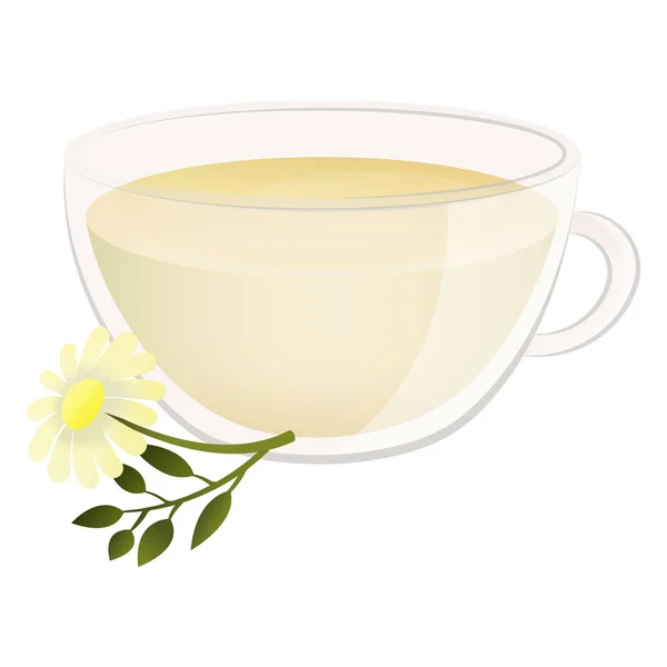 Délicieux thé naturel aux herbes parfumées dans une belle tasse transparente . — Image vectorielle