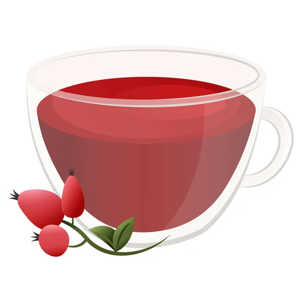 Смачний натуральний чай з глодом в красивому прозорому кубку . — стоковий вектор