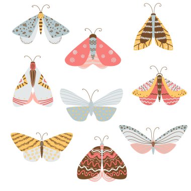 Güzel, çok renkli kelebek ve pervane kanatları ve desen kanatlarında farklı şekillerle.