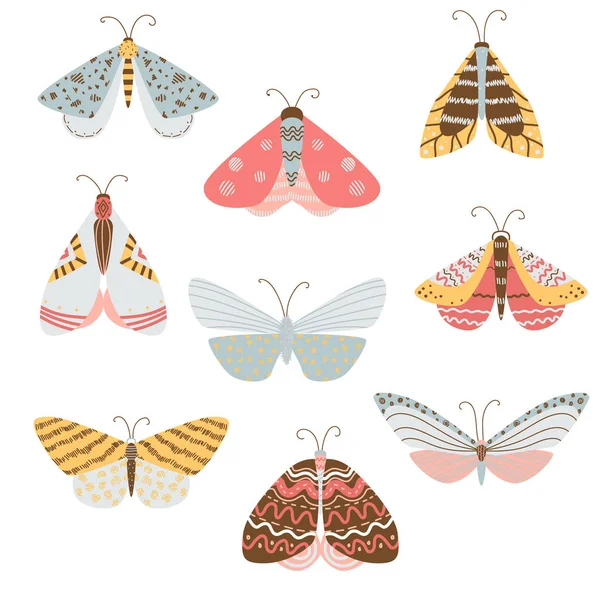 Piękne, kolorowe motyle i ćmy z różnymi kształtami wzorców na skrzydłach i skrzydła. — Wektor stockowy