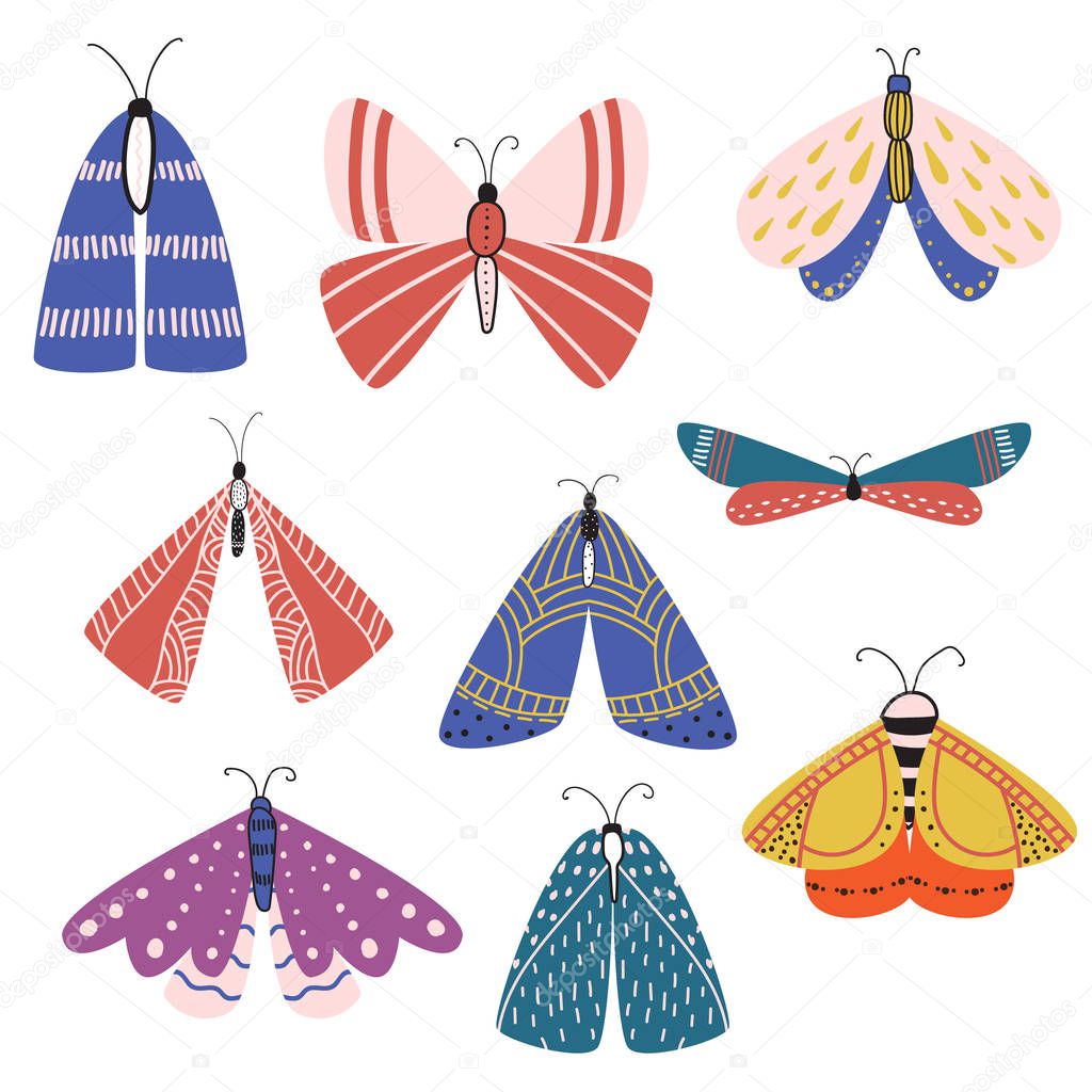 Beautiful, multicolored butterflies and moths with different shapes of wings and patterns on the wings.