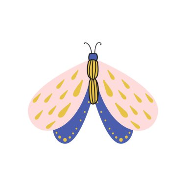 Güzel, çok renkli kelebek kanatları ve desen onları alışılmamış bir şekil ile.