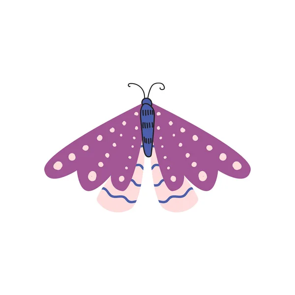 Borboleta bonita, multi-colorida com uma forma incomum das asas e padrões neles . — Vetor de Stock