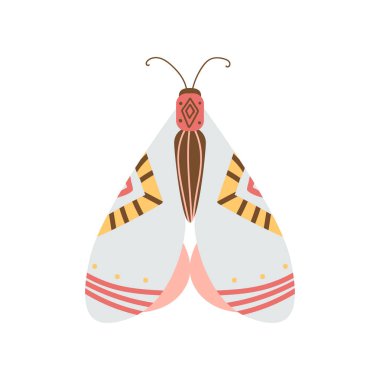 Güzel, çok renkli kelebek kanatları ve desen onları alışılmamış bir şekil ile.