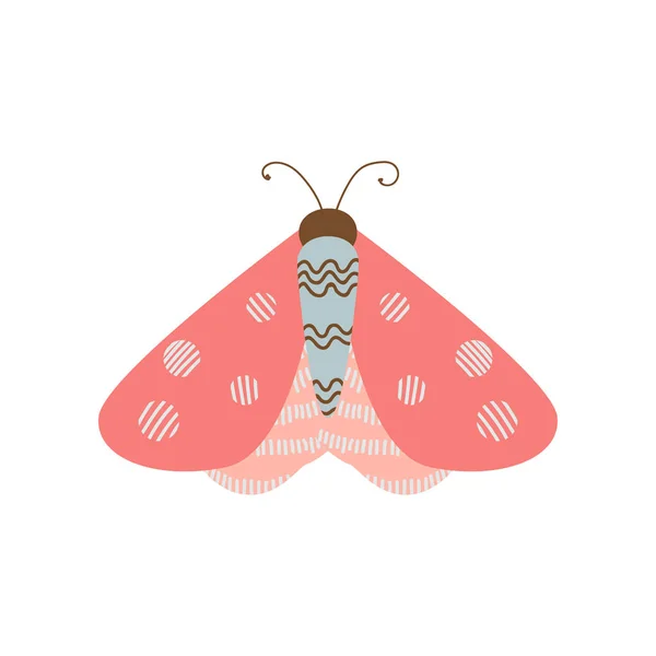 Hermosa mariposa multicolor con una forma inusual de las alas y los patrones en ellos . — Vector de stock