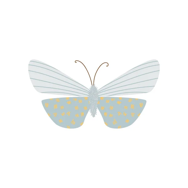 Schöner, mehrfarbiger Schmetterling mit ungewöhnlicher Form der Flügel und Mustern darauf. — Stockvektor