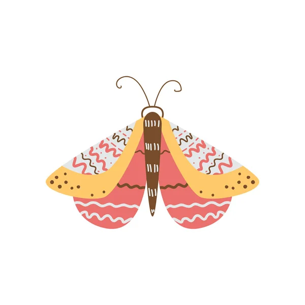 Hermosa mariposa multicolor con una forma inusual de las alas y los patrones en ellos . — Vector de stock