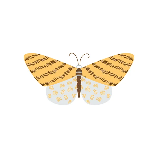 Hermosa mariposa multicolor con una forma inusual de las alas y los patrones en ellos . — Vector de stock