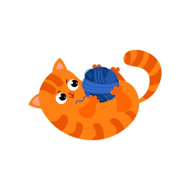  büyük siyah gözleri ve bir kalp şeklinde bir burun ile Ute kırmızı kedi onun boş zaman harcıyor.