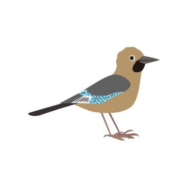 Güzel beyaz arka plan üzerinde çok renkli kuş izole.