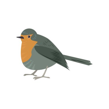 Güzel beyaz arka plan üzerinde çok renkli kuş izole.