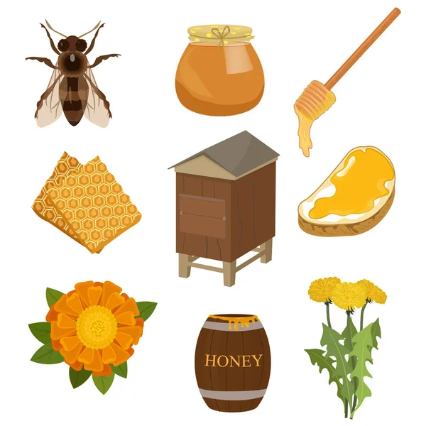Zestaw elementów niezbędnych dla zbierania miodu i jego wykorzystania. Pasechnik, ula, plastrów miodu, pszczoły, kwiaty. — Wektor stockowy