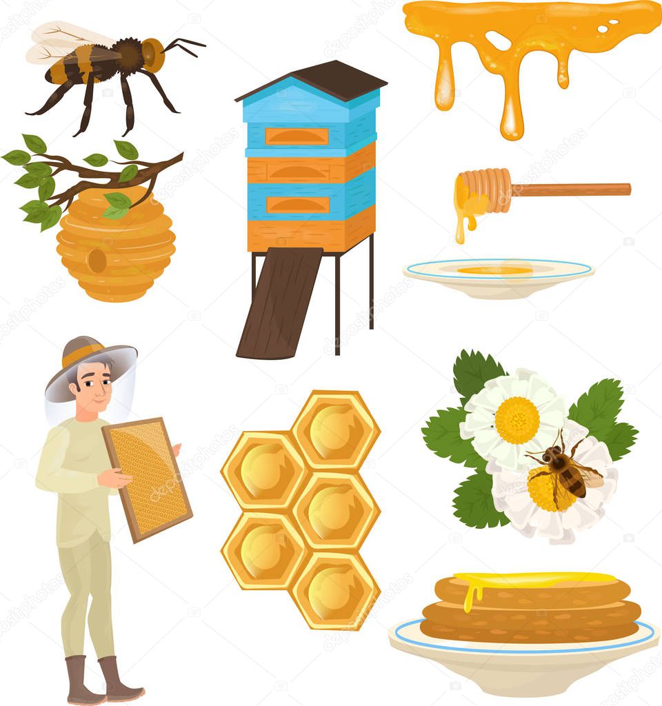 Set of items necessary for collecting honey and for its use. Pasechnik, beehive, honeycombs, bees, flowers.