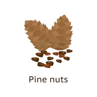 Bitki meyvesi yenilebilir bir çekirdek ile oynadığının bir somun.