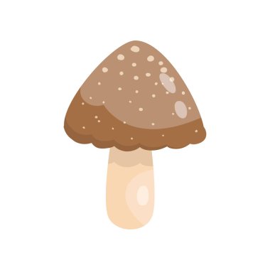 Beautiful fresh mushroom of unusual shape. Colored mushroom for cooking mushroom soup and other dishes.