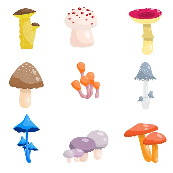 一套不同类型的蘑菇有毒和可食用。不同类型、形状和颜色的蘑菇. — 图库矢量图片