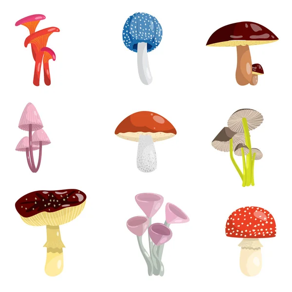 Jogo de tipos diferentes de cogumelos venenosos e comestíveis. Cogumelos de diferentes tipos, formas e cores . —  Vetores de Stock